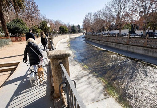 Río Genil a su paso por Granada