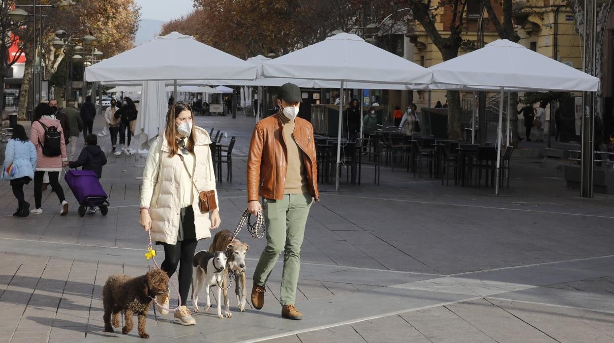 Dos personas pasean sus perros por el bulevar de Gran Capitán