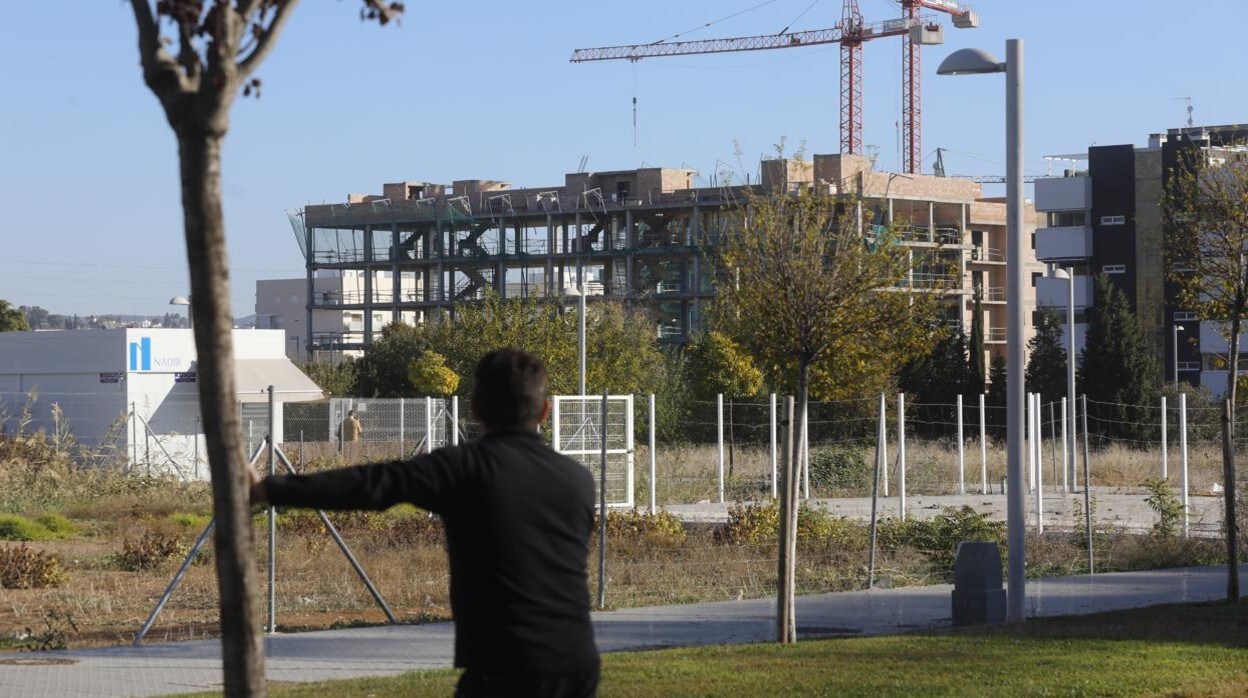 Un cordobés observa una promoción de viviendas en construcción en la zona de Poniente