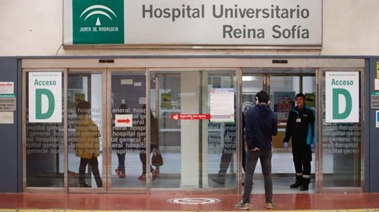 Puerta de acceso al espacio central del Hospital Reina Sofía