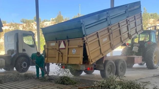 Dcoop le da un vuelco a su facturación al crecer un 12% en 2021 y facturar 1.021 millones de euros