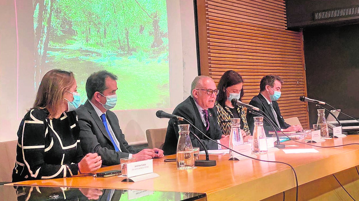 Reunión del Consejo del Agua para aprobar el nuevo Plan Hidrológico del Guandalquivir hasta 2027