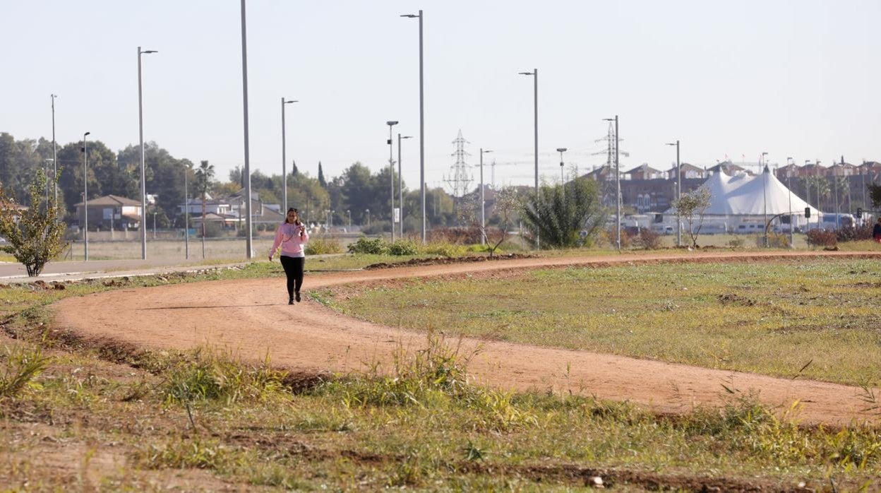 Farolas exteriores del Parque del Flamenco mientras una ciudadana pasea por su trazado