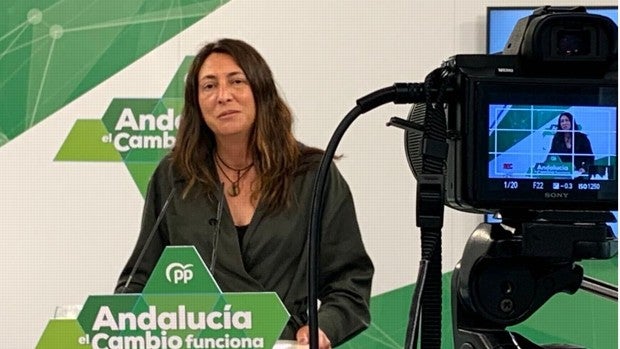 El PP andaluz abona el discurso del adelanto electoral: «Es necesario el Presupuesto antes de fin de año»