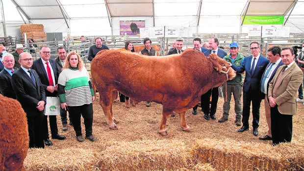 Arranca la Feria Agroganadera de los Pedroches como un revulsivo ante la «grave crisis del campo»