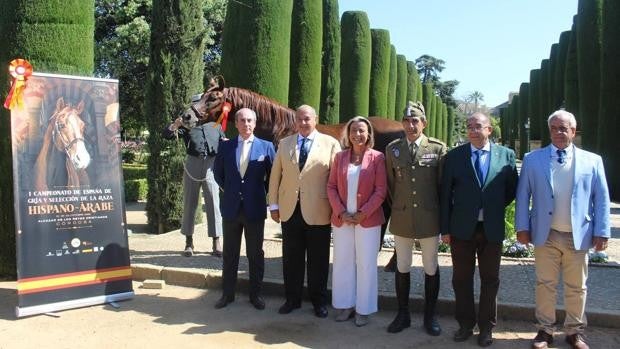 Córdoba acogerá en el Alcázar el I Campeonato de España de Caballos Hispanoárabes