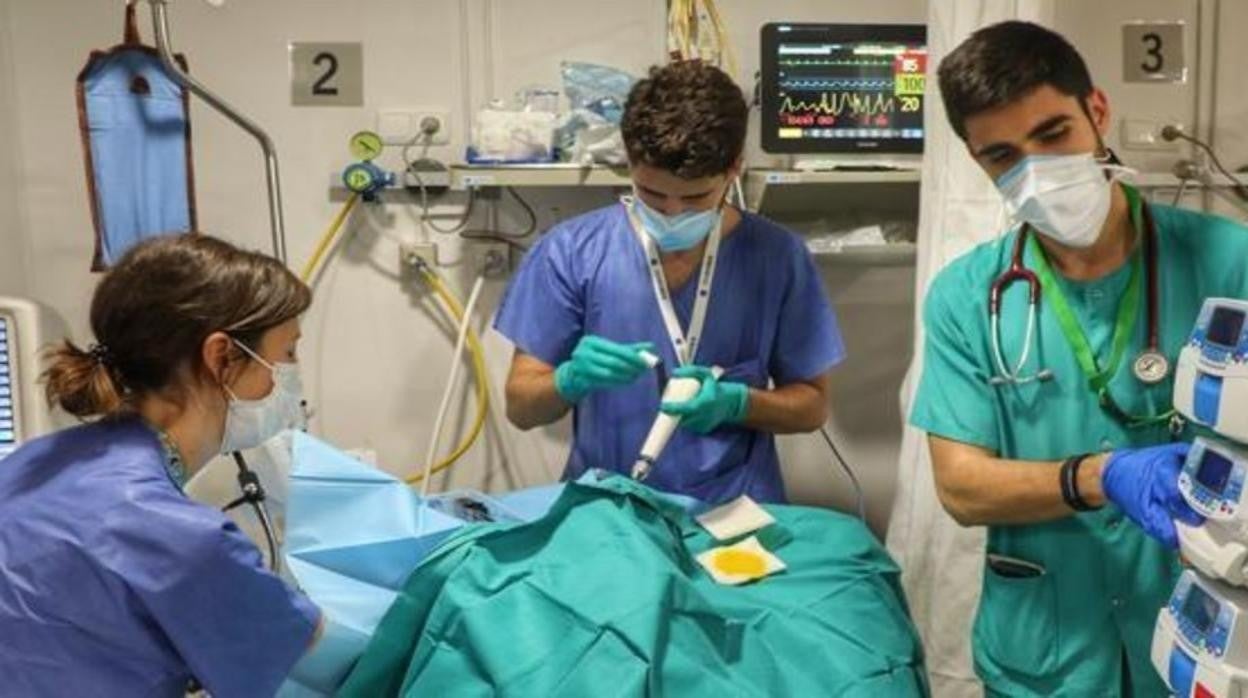 Sanitarios en el hospital Reina Sofía de Córdoba