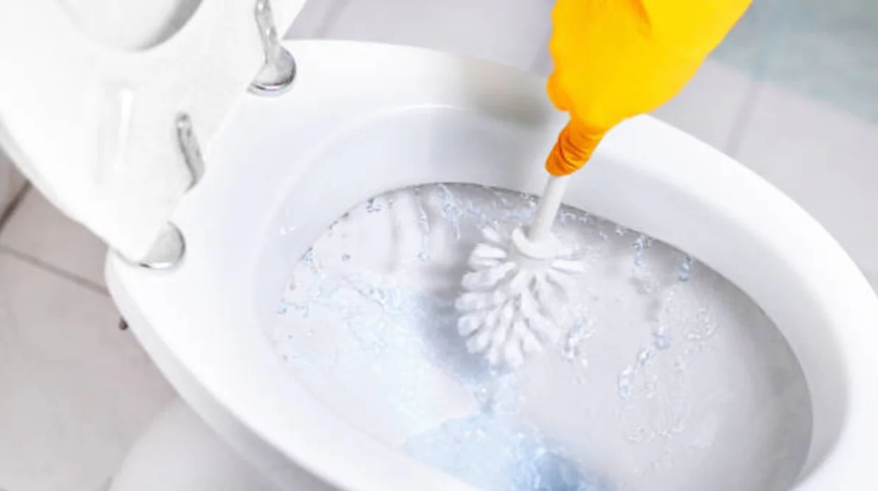 Cómo limpiar y desinfectar la escobilla de baño: trucos