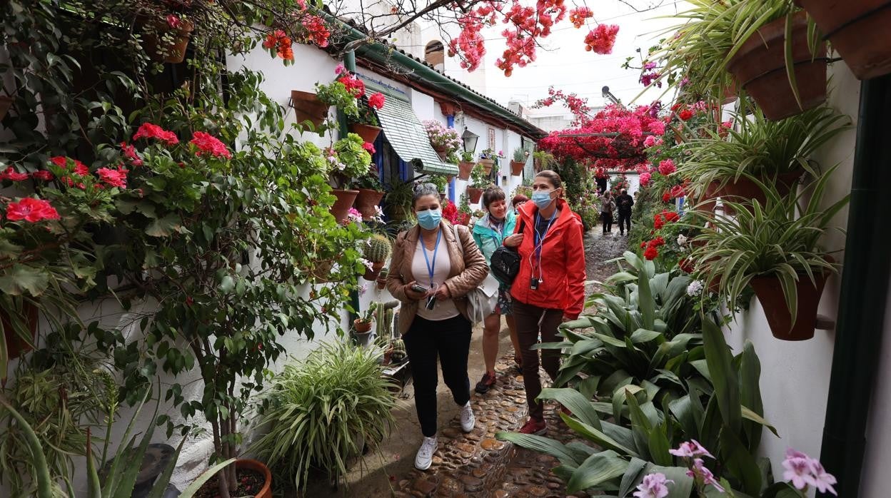 Visitantes en Marroquíes, 6, uno de los considerados ahora Patios Singulares