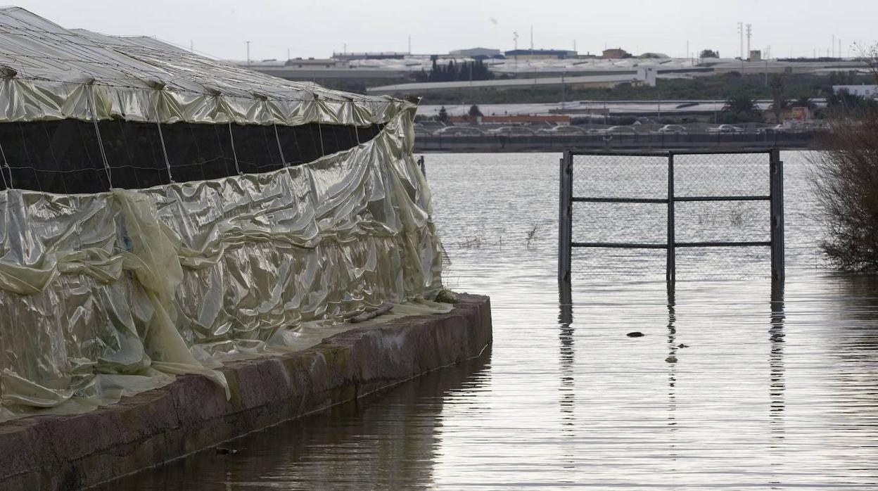 Una balsa de agua en la localidad almeriense de El Ejido