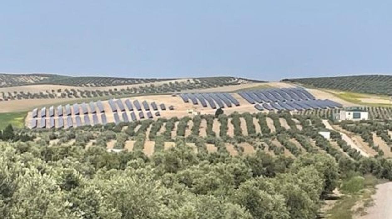 Imagen de la planta fotovoltaica de esta comunidad de regantes