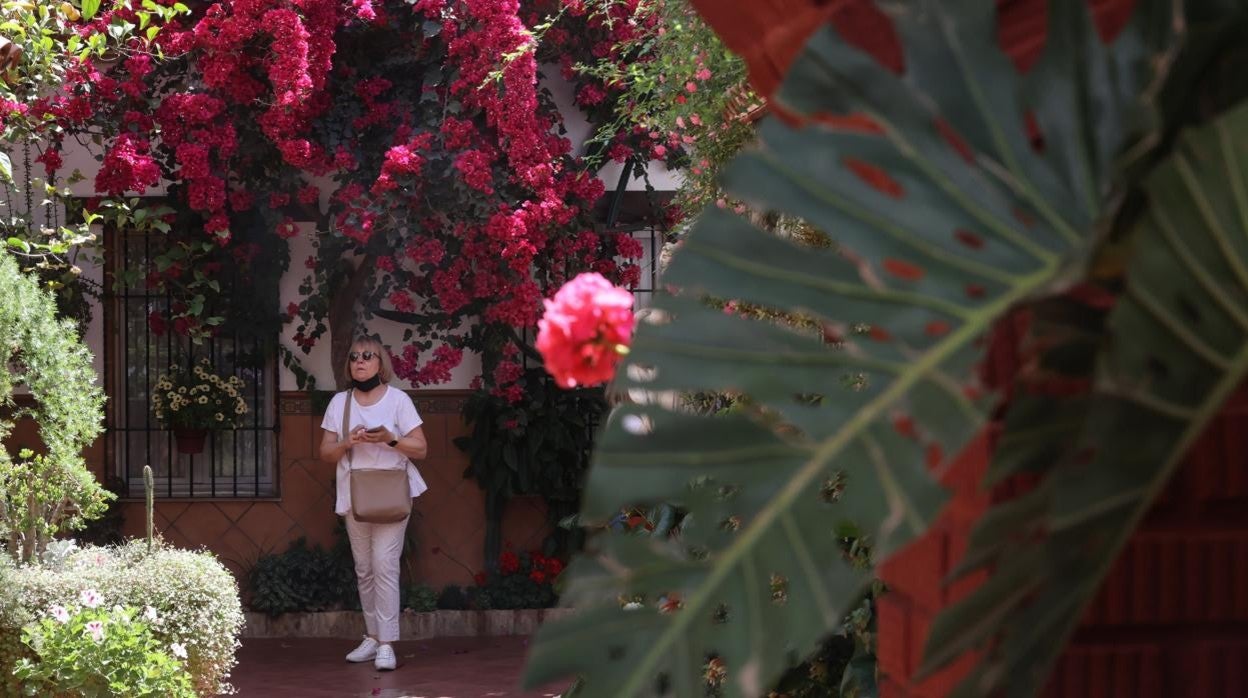 Una mujer observa la belleza del patio de Barrionuevo, 43 en la presente edición del Festival