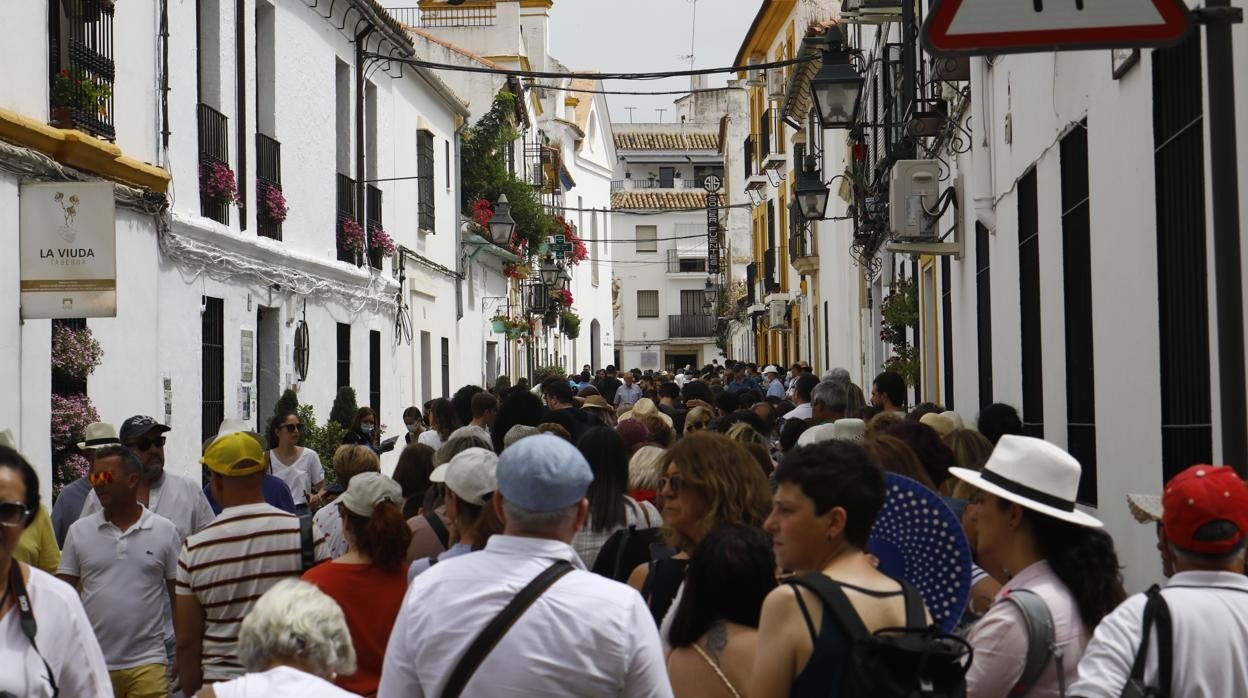 Visitantes de los Patios de Córdoba en la calle San Basilio