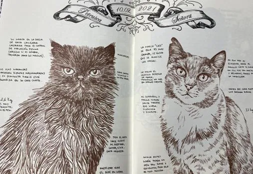 Páginas de 'Historia de un gato'