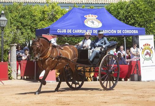 Vuelve la Feria de Córdoba más ansiada tras tres años de ausencia por la pandemia