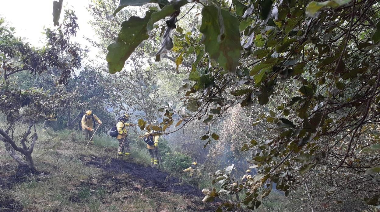 Bomberos forestales en un incendio reciente