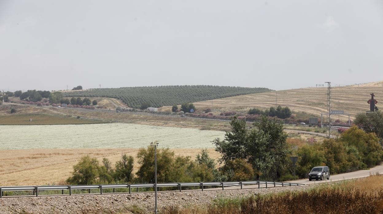 Terrenos de La Rinconada