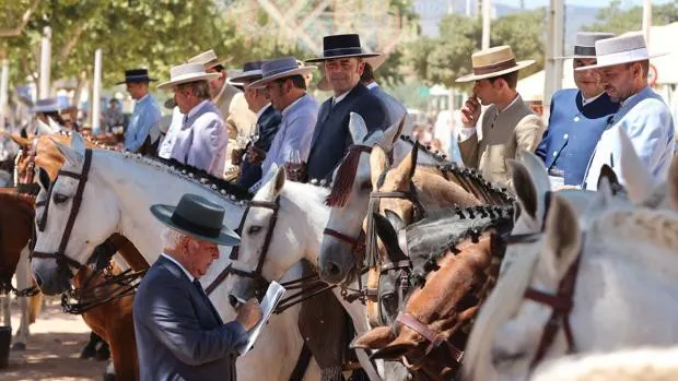 Feria de Córdoba de 2022 | Paso corto y vista larga en el día grande de los caballos