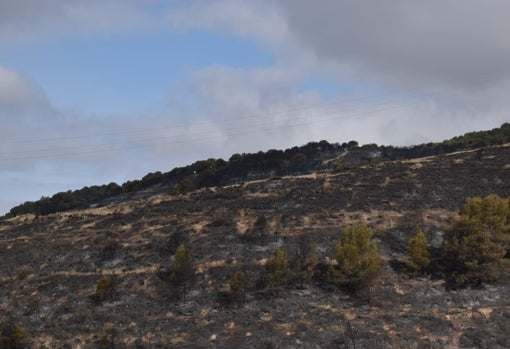 Líneas de cable sobre el monte calcinado en Granada