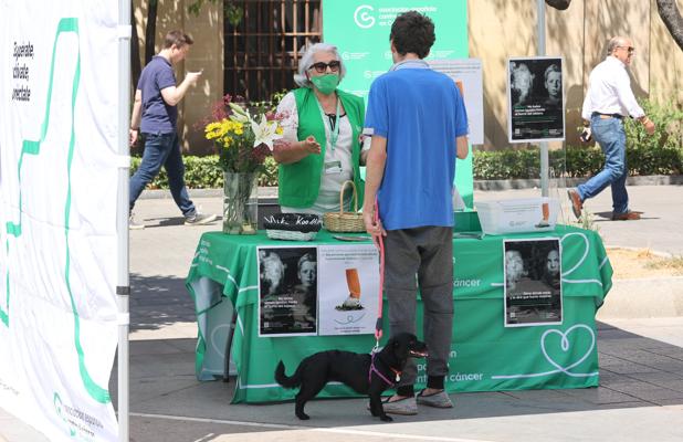 La Asociación Contra el Cáncer quiere que no esté permitido fumar en las terrazas de Córdoba