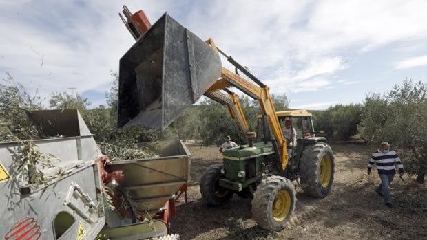 La crisis de precios acuciante ahonda en la asfixia del campo cordobés