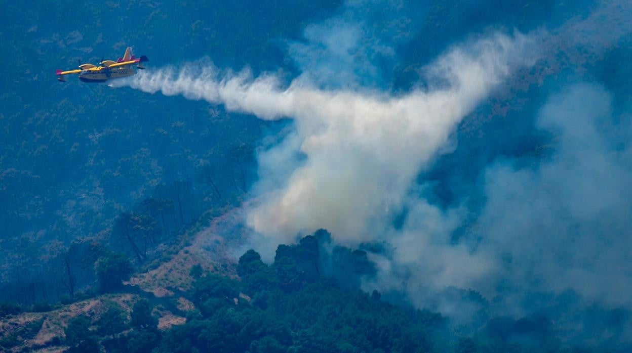 Hidroaviones combatiendo el incendio forestal del Pujerra