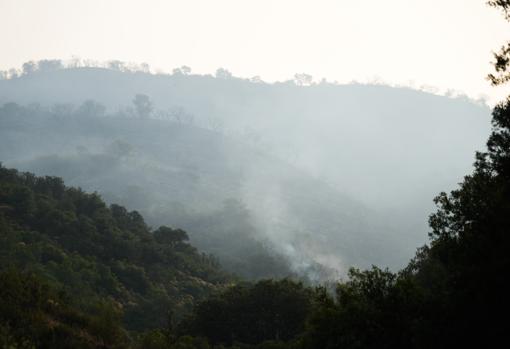 Imagen del incendio en el paraje de La Canaleja en Pozoblanco