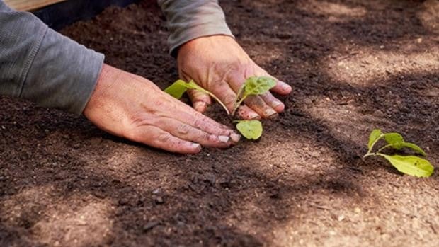 Los 10 consejos de Agrocor para que este verano sea más «eco» y agradable