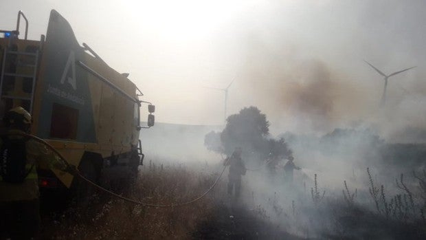 Declarado un incendio forestal en el paraje El Pedregoso, en Tarifa