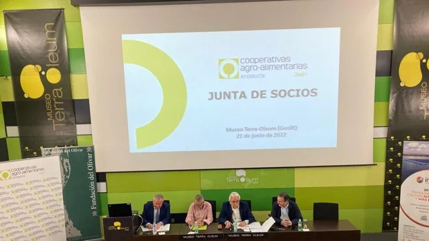 Balance de 2021: Cooperativas Agroalimentarias de Jaén facturan 1.250 millones de euros, un 20 % más