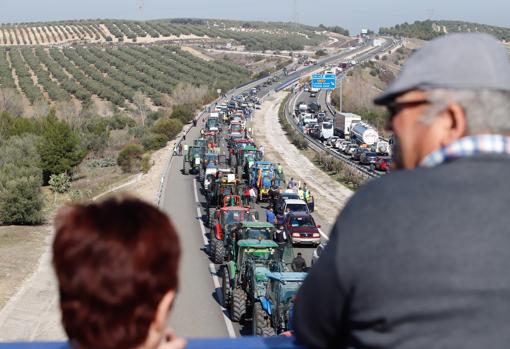 El 70 por ciento de los productores cordobeses ha sufrido ya el cambio climático en el campo