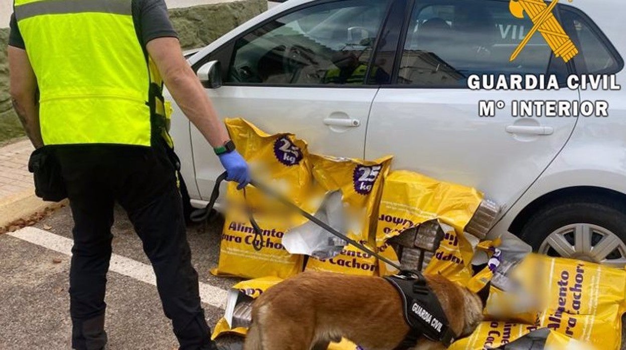 Un agente de la Guardia Civil y el perro 'Dino', durante la intervención