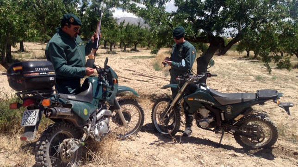 Agentes del Seprona de la Guardia Civil, en una imagen de archivo