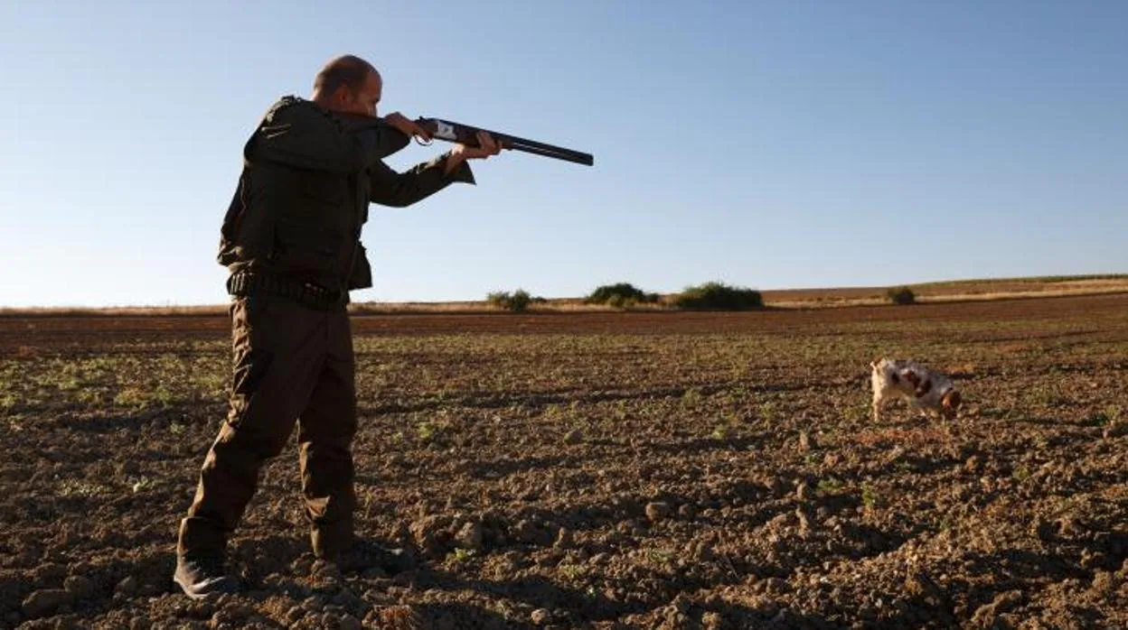 Un cazador apunta en el campo con su escopeta a una pieza