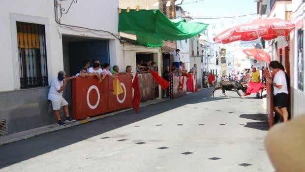 El Viso ya está listo para la fiesta de Santa Ana