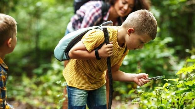 Impulsar la educación ambiental para proteger los derechos humanos