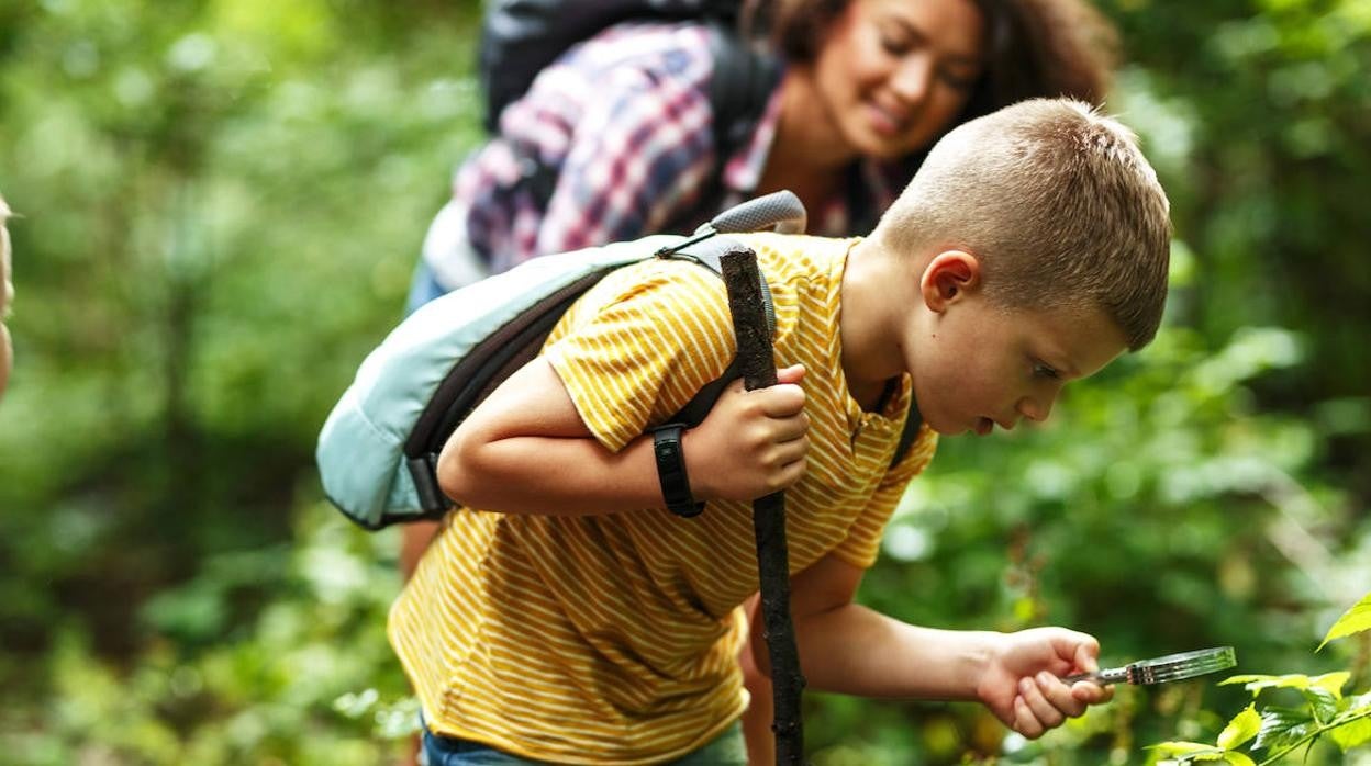 Impulsar la educación ambiental para proteger los derechos humanos