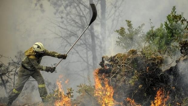 Atentar contra el medio ambiente costará más caro