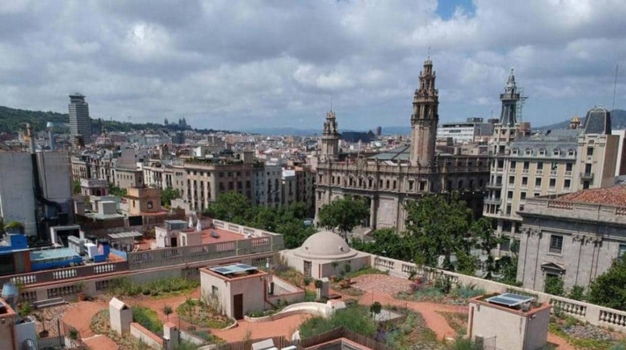 Terrats d'en Xifré, proyecto premiado que convierte la azotea de 11 edificios de una manzana de Barcelona en un jardín sostenible.