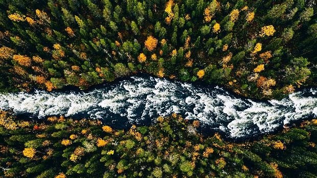«La naturaleza es el proveedor más generoso que tenemos»