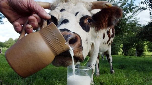 La receta para ser cero emisiones y fabricar leche