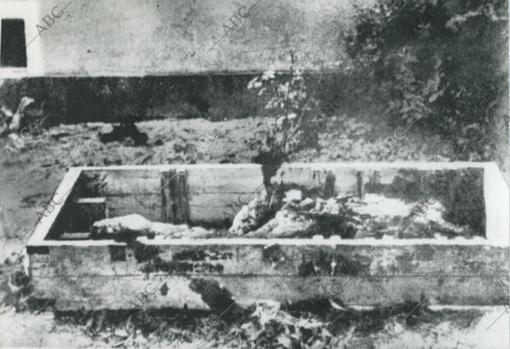 Fotografía hecha por un fotógrafo soviético en la que están, al parecer, los restos de Hitler