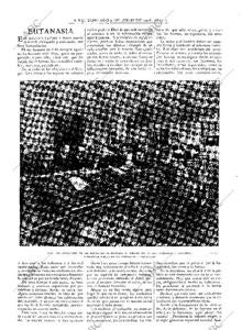 Página sobre la eutanasia de 1905