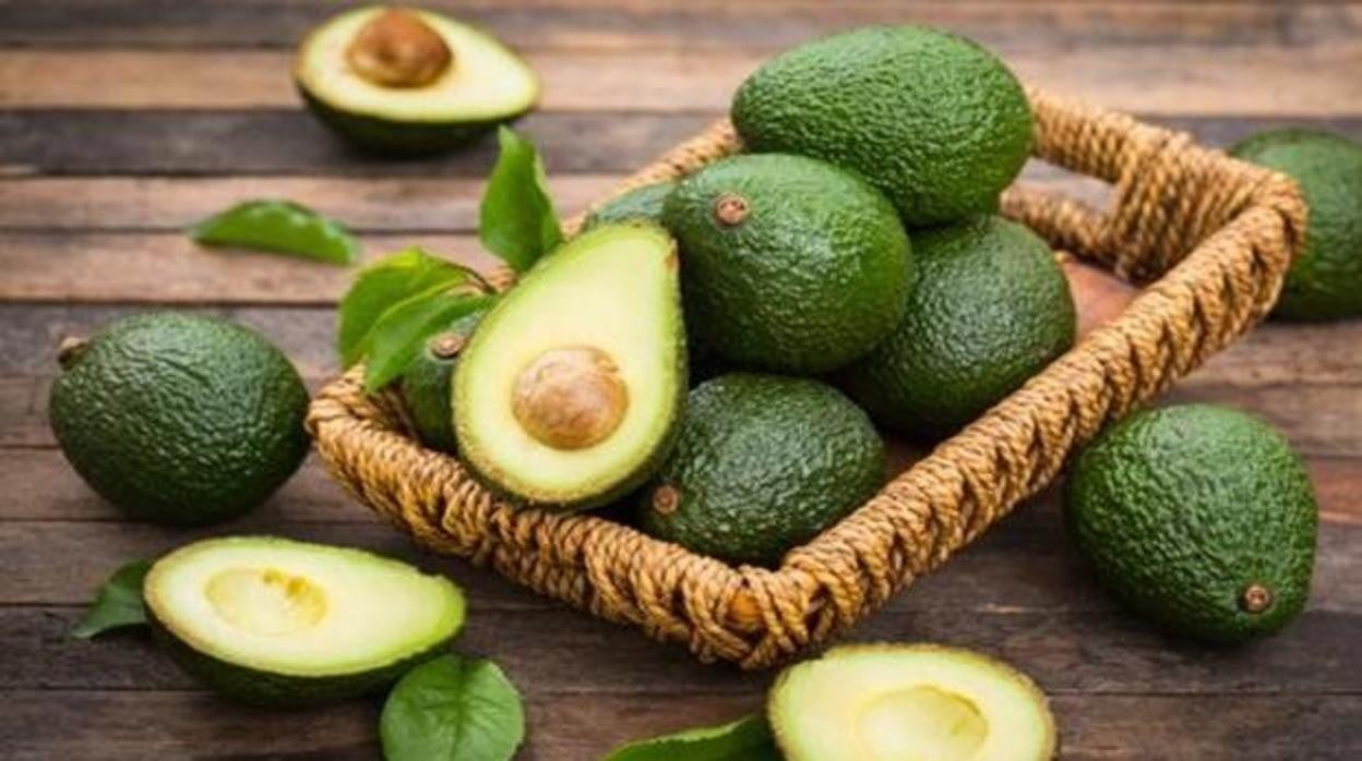 Aguacate Beneficios Propiedades Y Recetas Para Disfrutarlo 0359