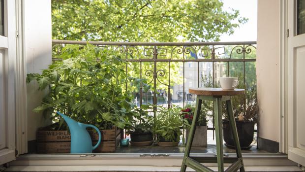 Qué verduras plantar en el balcón para poder disfrutarlas en verano