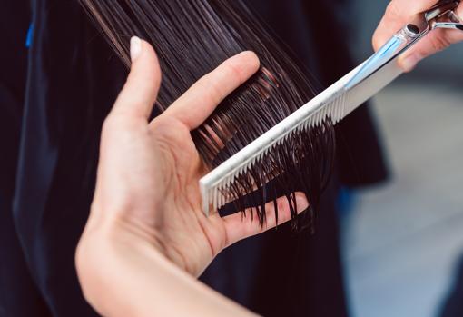 Conviene sanear el pelo de vez en cuando.