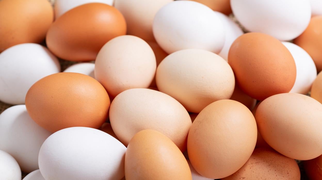 Los huevos son fuente de proteínas, vitaminas y contienen todos los aminoácidos esenciales