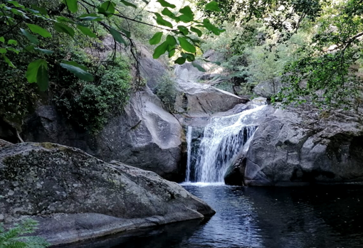 Una de las zonas en las que se realizan los Baños de Bosque.