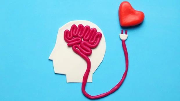 'El cerebro enamorado': el motivo por el que no vemos los defectos de la persona que nos gusta
