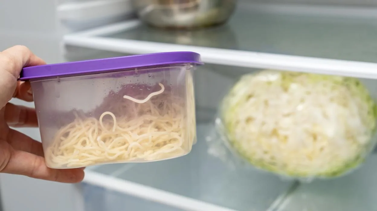 Cómo ordenar la nevera para que la comida que compras no termine en la  basura